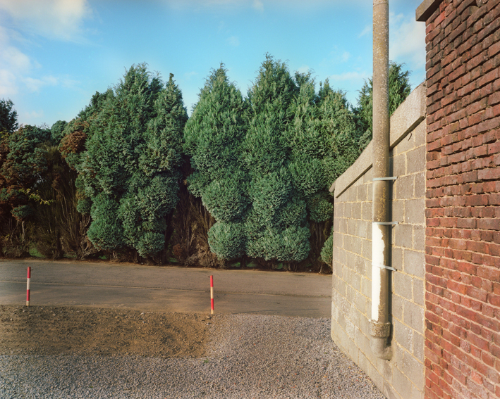 philippe mailleux, ifs, cimetière, Plaubel Makina w67