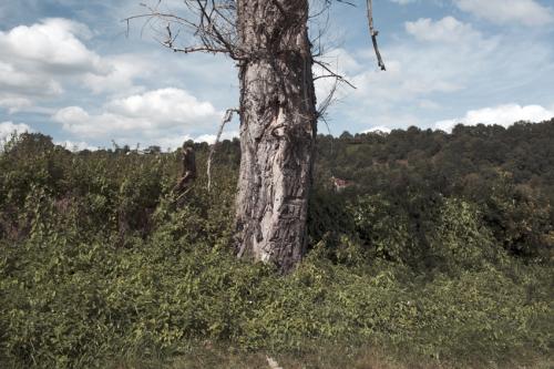 philippe mailleux, la creuse, la métive