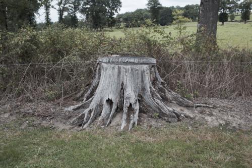 philippe mailleux, la creuse, la métive