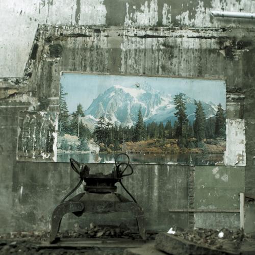 chancre-fresque-nature